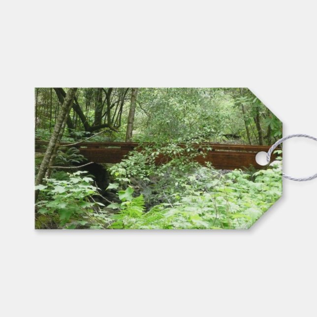 Muir Woods Bridge I Geschenkanhänger (Vorderseite (Horizontal))
