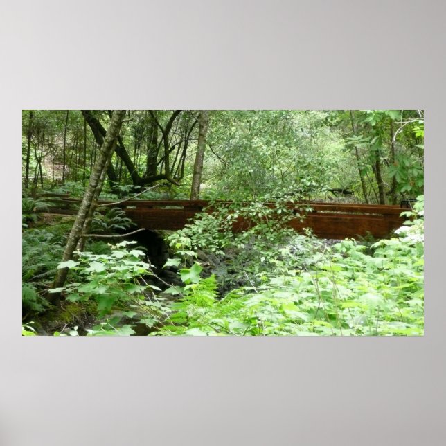 Muir Woods Bridge I Poster (Vorne)