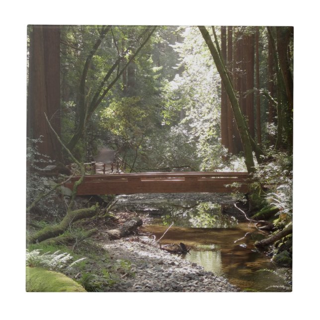 Muir Woods Bridge II Fliese (Vorderseite)