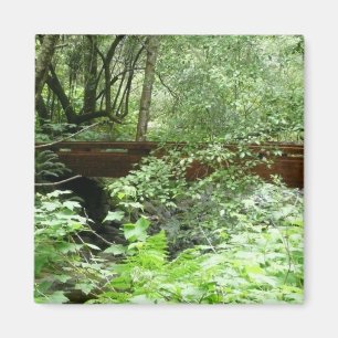 Muir Woods Brücke I Magnet