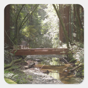 Muir Woods Brücke II Quadratischer Aufkleber