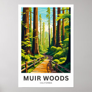 Muir Woods California Travel Print Poster