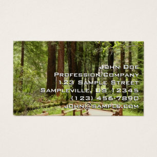 Muir Woods Chemin I Nature Photographie