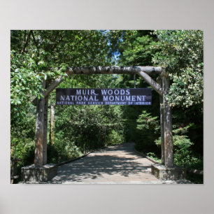 "Muir Woods Entrance" Poster