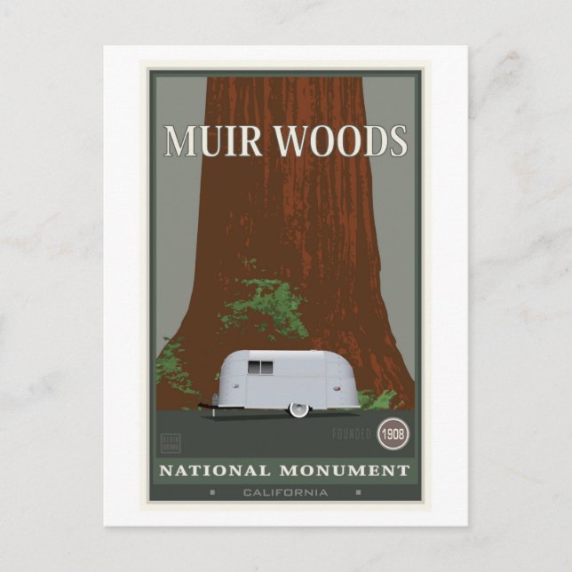 Muir Woods National Monument 1 Postkarte (Vorderseite)