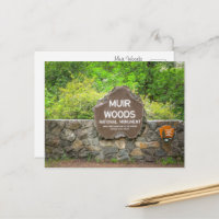 Muir Woods National Monument – Kalifornischer Mamm