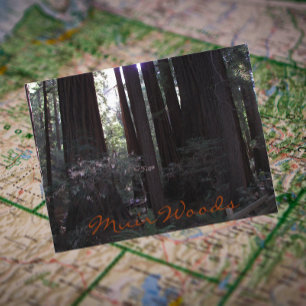 Muir Woods National Monument Travel Foto Postkarte