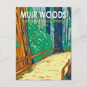 Muir Woods National Monument Vintage Kunst Postkarte
