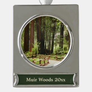 Muir Woods Path I Naturefotografie Banner-Ornament Silber