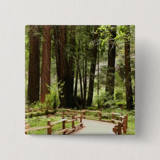 Muir Woods Path I Naturefotografie Button (Vorderseite)