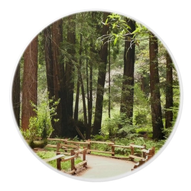 Muir Woods Path I Naturefotografie Keramikknauf (Vorderseite)