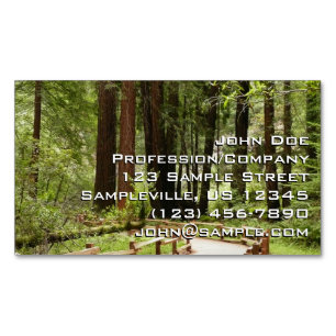 Muir Woods Path I Naturfotografie Magnetische Visitenkarte