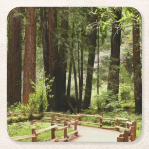Muir Woods Path I Naturfotografie Rechteckiger Pappuntersetzer