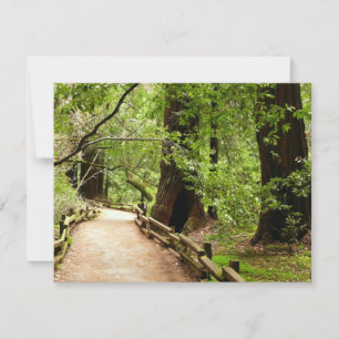 Muir Woods Path II Naturfotografie Karte