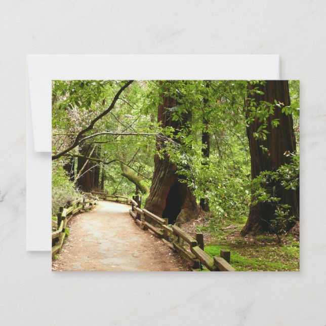 Muir Woods Path II Naturfotografie Karte (Vorderseite)