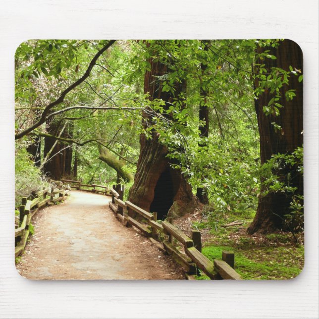 Muir Woods Path II Naturfotografie Mousepad (Vorne)