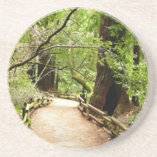 Muir Woods Path II Naturfotografie Sandstein Untersetzer