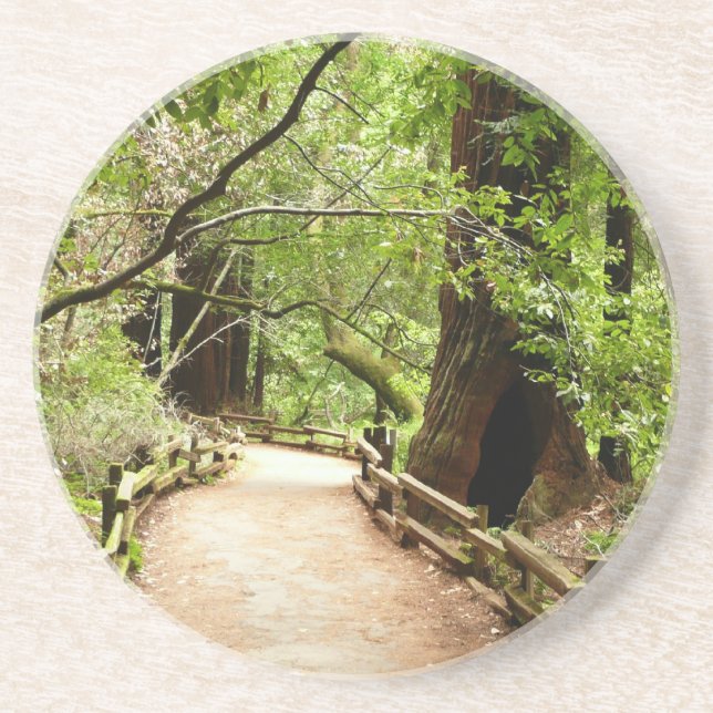Muir Woods Path II Naturfotografie Sandstein Untersetzer (Vorne)