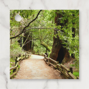 Muir Woods Pfad II Naturfotografie Geschenkanhänger