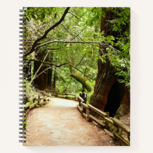 Muir Woods Pfad II Naturfotografie Notizbuch
