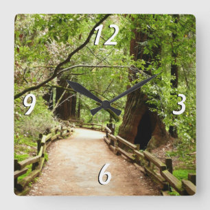 Muir Woods Pfad II Naturfotografie Quadratische Wanduhr