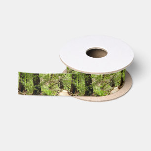Muir Woods Pfad II Satinband