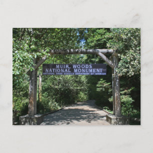Muir Woods Post Card Postkarte