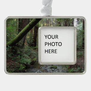Muir Woods Stream Forest Landschaft Rahmen-Ornament Silber