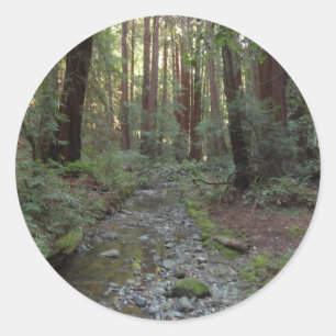 Muir Woods Stream Forest Landschaft Runder Aufkleber