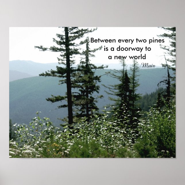 Muir Zitat Poster Naturfotografie Bergkiefer (Vorne)
