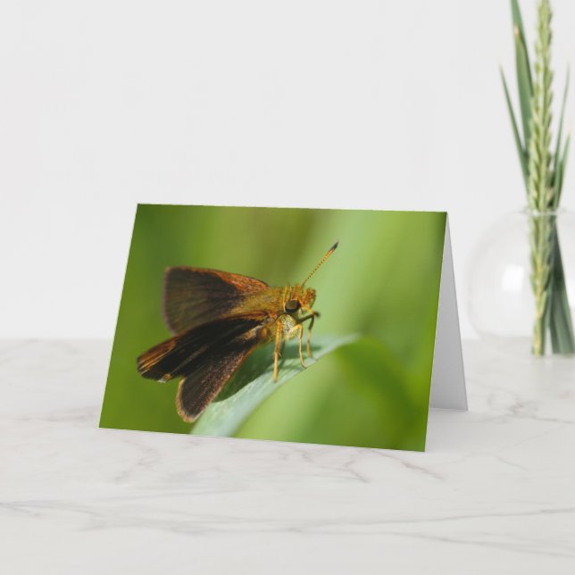 Mulberrywing Karte (Vorderseite)