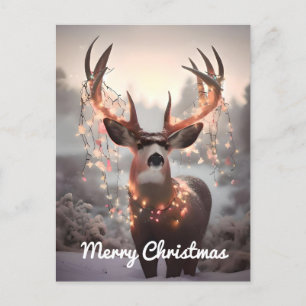 Mule Dee und Weihnachtslicht Postkarte