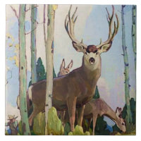 "Mule Deer Buck and Doe" von W. Herbert Dunton