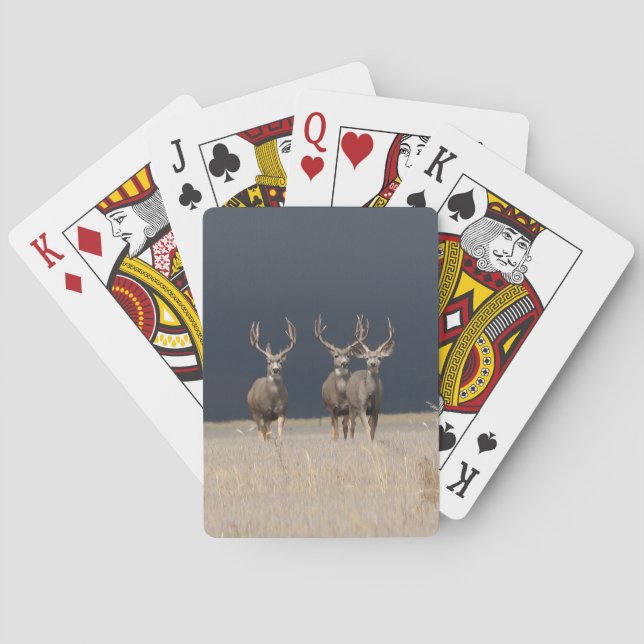 Mule Deer Bucks Bicycle Playing Cards Spielkarten (Rückseite)