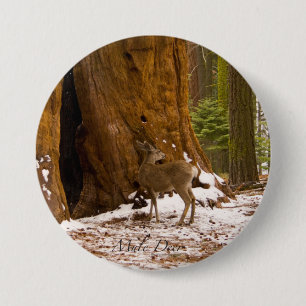 Mule Deer Button