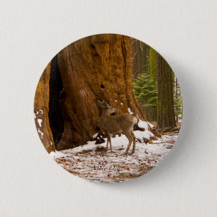 Mule Deer Button