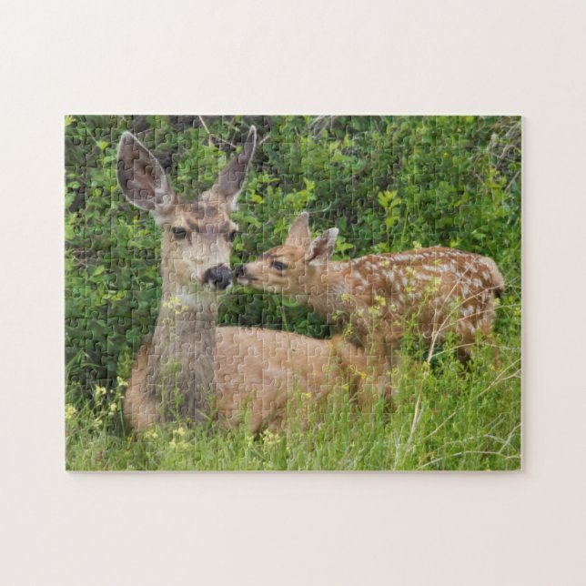 Mule Deer Doe with Fawn (Horizontal)