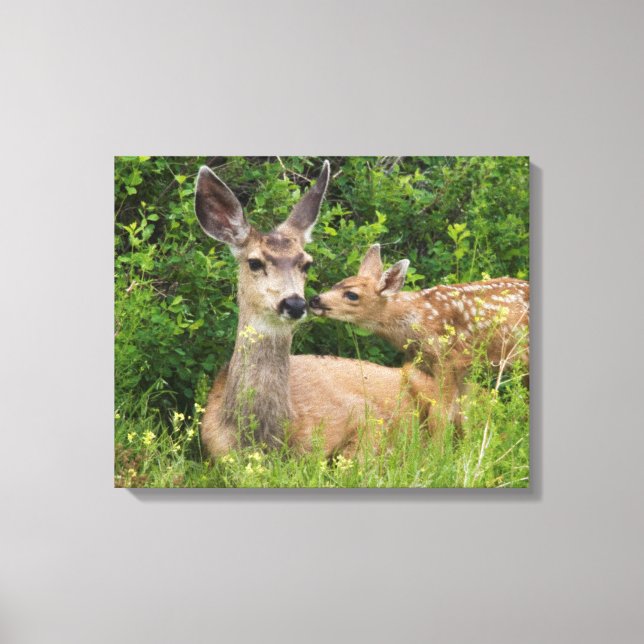Mule Deer Doe with Fawn Leinwanddruck (Vorderseite)