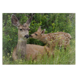 Mule Deer Doe with Fawn Schneidebrett