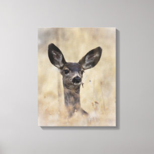 Mule Deer Fawn Leinwanddruck