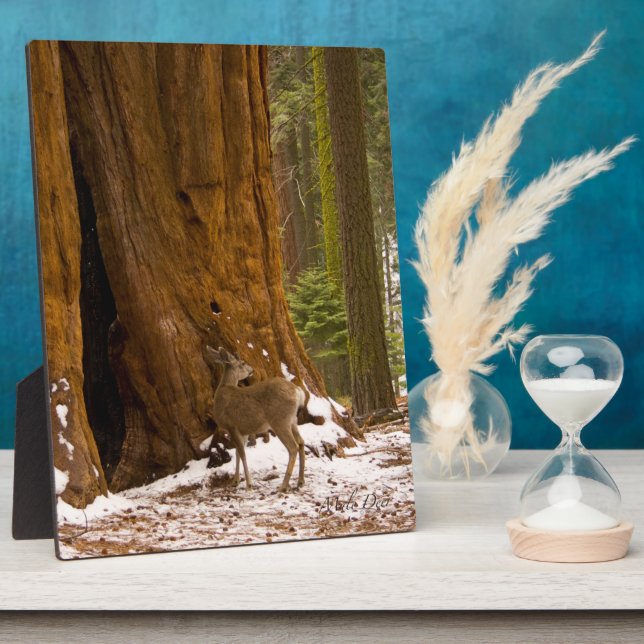 Mule Deer Fotoplatte (Seite)