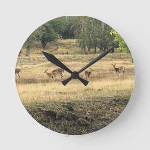 Mule Deer in a Field, Joseph, Oregon Runde Wanduhr