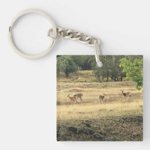 Mule Deer in a Field, Joseph, Oregon Schlüsselanhänger