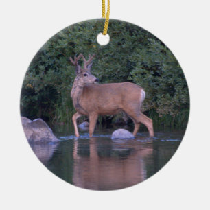 "Mule Deer Making a Early Morning River Crossing" Keramik Ornament