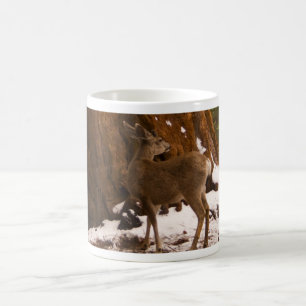 Mule Deer Mug