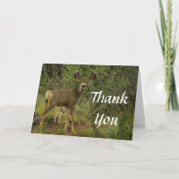 Mule Deer Raspberry Danke-Card