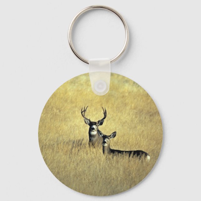 Mule Deer Schlüsselanhänger (Vorderseite)