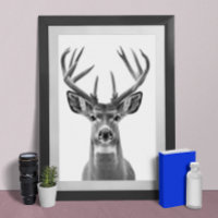 Mule Deer Wüste Animal Portrait Poster