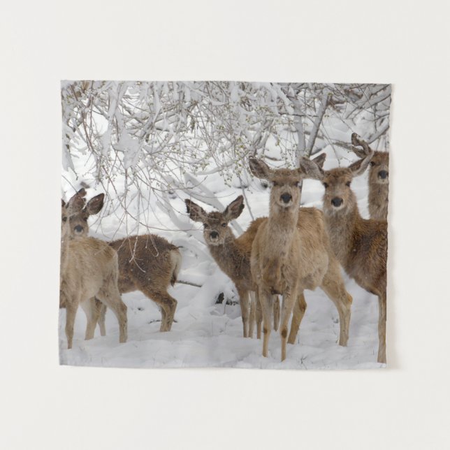 Mule Deer Wyoming Wandteppich (Vorderseite (Horizontal))