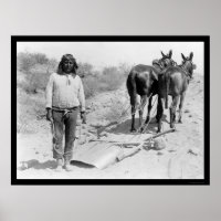 Mule-gezeichnet Plow und Indian 1920